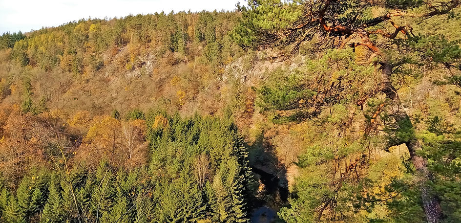 X - Pohled na hradiště Koryta