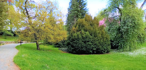 Jedno ze zákoutí bělolhotského arboreta