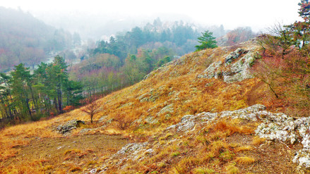 Pohled do údolí z Hemrových skal