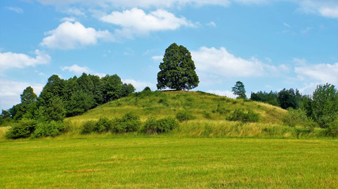 Stáří Lípy u Nepomyšle odhadují botanici na 250 let