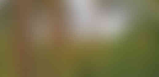 Dnes už pomalu zarůstající vyhlídka Nad Šprymberkem nedaleko hradiště na Vlčí hoře