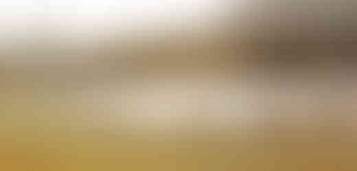 Polífkův rybník v Hloubětíně