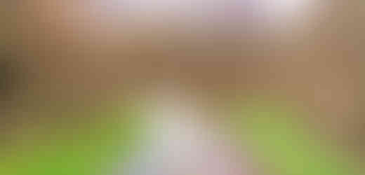 Cesta téměř celou dobu kopíruje tok zdejšího Radotínského potoka