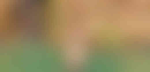 Socha Herkula v jezírku v Zahradě Kinských