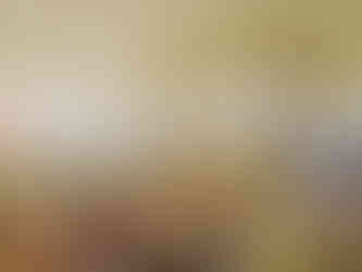 Synagoga v Hranicích