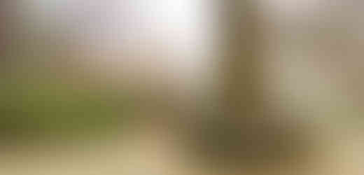 Samota zimní botanické zahrady v Malešicích