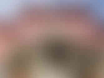 Na hlavním schodišti najdeme plastiky antických bohů, alegorie denních i ročních období a světadílů