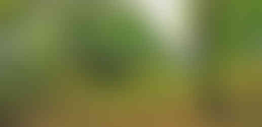 Vlčí hora byla vyhledávaná pro lidé z pravěku pro výhodnou pozici