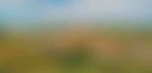 Pohled na město Kryry od Schillerovy rozhledny