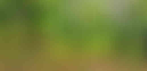 Kromě příslušníků únětické kultury našli na Vlčí hoře útočiště i lidé ze středodunajské mohylové kultury