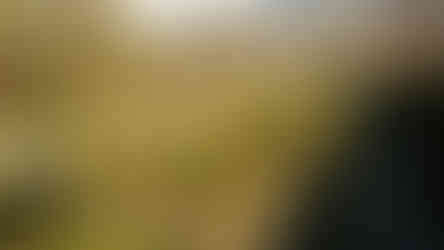 Knížecí zahrada v Duchcově