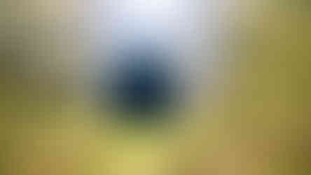 Místo, kterým v lomu NPP Požáry dřív jezdily těžební malodrážky