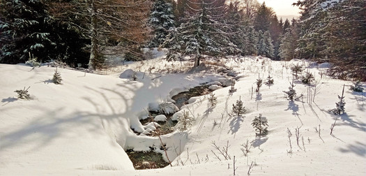 I během zimního dne si potůčky razí cestu dolů z Loučné