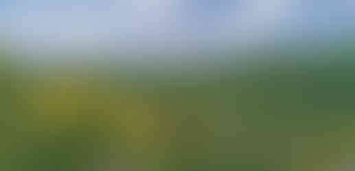 Pohled z vršku Kapucínských skal