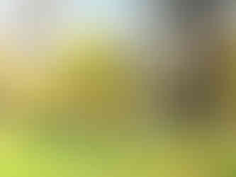 U duchcovského sfingového jezírka