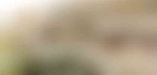 Co udělá zima s břehy říčky Rokytky