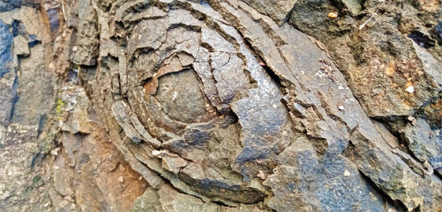 Unikátními geologickými pochody vznikaly tyto diabazové růžičky, kterým se říká také Chuchelské růže