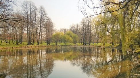 Jezírko v duchcovském zámeckém parku