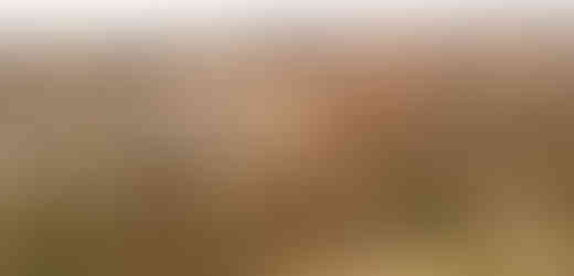 Výhled z PP Skalka nabízí neobvyklý pohled na košířský kostel svatého Jana Nepomuckého