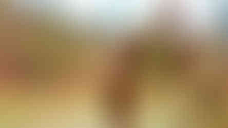 Bodláčí v lokalitě činného lomu Požár 2