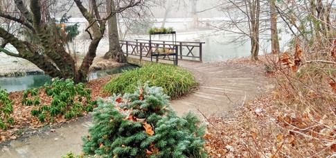 Botanická zahrada v Malešicích dostala zimní šedý nádech jinovatky a mlhy