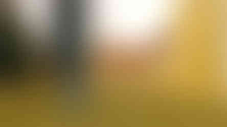 Areál zbraslavského zámku