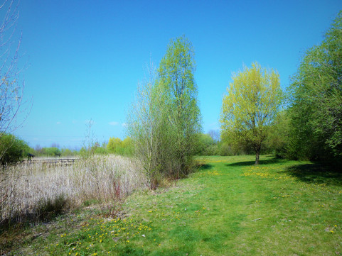 Mokřad Mokroš slouží k výuce žáků
