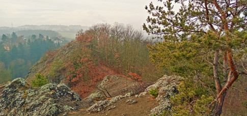 Hemrovy skály byly vytvořeny výronem lávy podmořské sopky