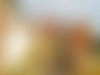 Schodiště spojující zámek se zámeckou štěpnicí je znovu zdobeno nádhernými terakotovými vázami