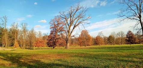 Pohled od rybníku Slunečnice na Dubový pahorek