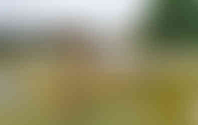 Sochy z centrální kašny se vrátily na své místo až po nákladné rekonstrukci; do té doby tvořily sochařskou výzdobu zdejšího parku