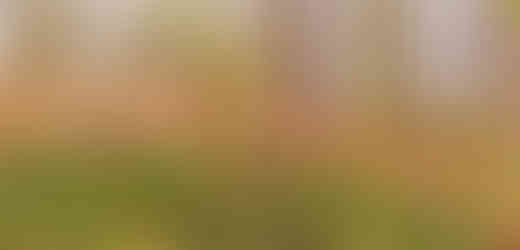 Socha bohyně lovu Diany v pražském parku Na Cibulce