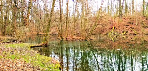 Vinořský lužní les