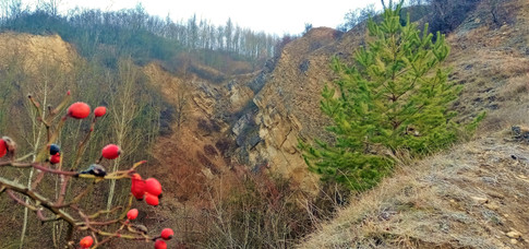 Zákoutí s lomovou stěnou lomu Mušlovku v NPP Dalejský profil