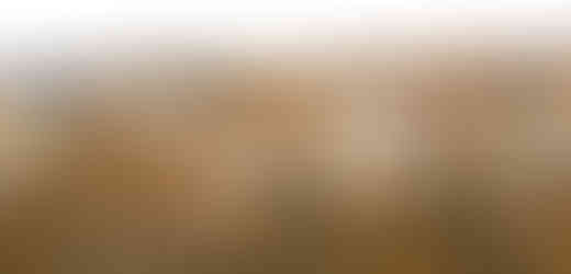 Z Přírodní památky Skalka máte východ Košíř jako na dlani