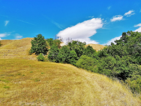 Nejvyšší místa Přírodní památky Staňkovice