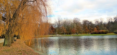 Podzimní Rudolfův rybník v PP Královská obora - Stromovka