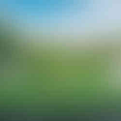 Nízký květnatý parter v přerovském parku Michalov