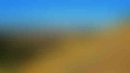 V Přírodní památce Stroupeč se výjimečně objevuje i kriticky ohrožený motýl Okáč skalní