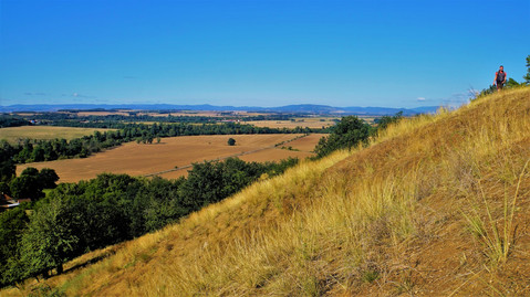 V Přírodní památce Stroupeč se výjimečně objevuje i kriticky ohrožený motýl Okáč skalní