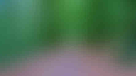 Lesní kolonáda je dominantní osou celého anglického parku v Krásném Dvoře