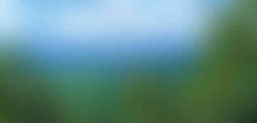 Když budete velmi pozorně na svahu Jezerky hledat, najdete tu viklan ve tvaru lidské hlavy, který se jmenuje Hurníkův viklan