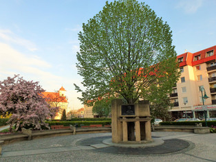 Pomník manželů Vojáčkových