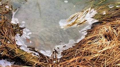 Poslední zbytky vlády zimy