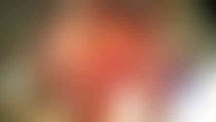 Rekonstruovaná Reinerova freska