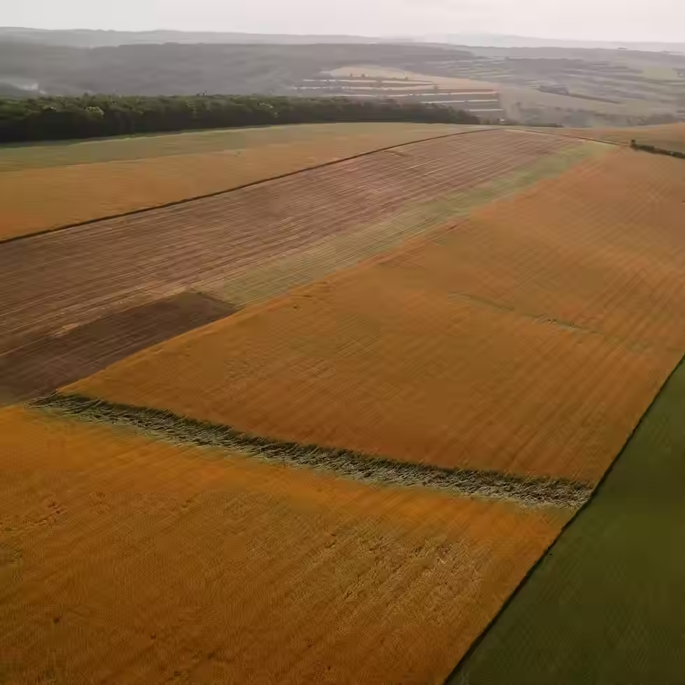 Erosion Risk Reduction with Year-Round Soil Cover