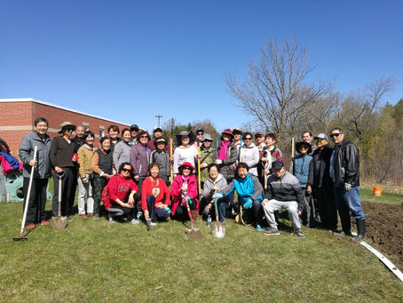 《五月的农耕情怀》