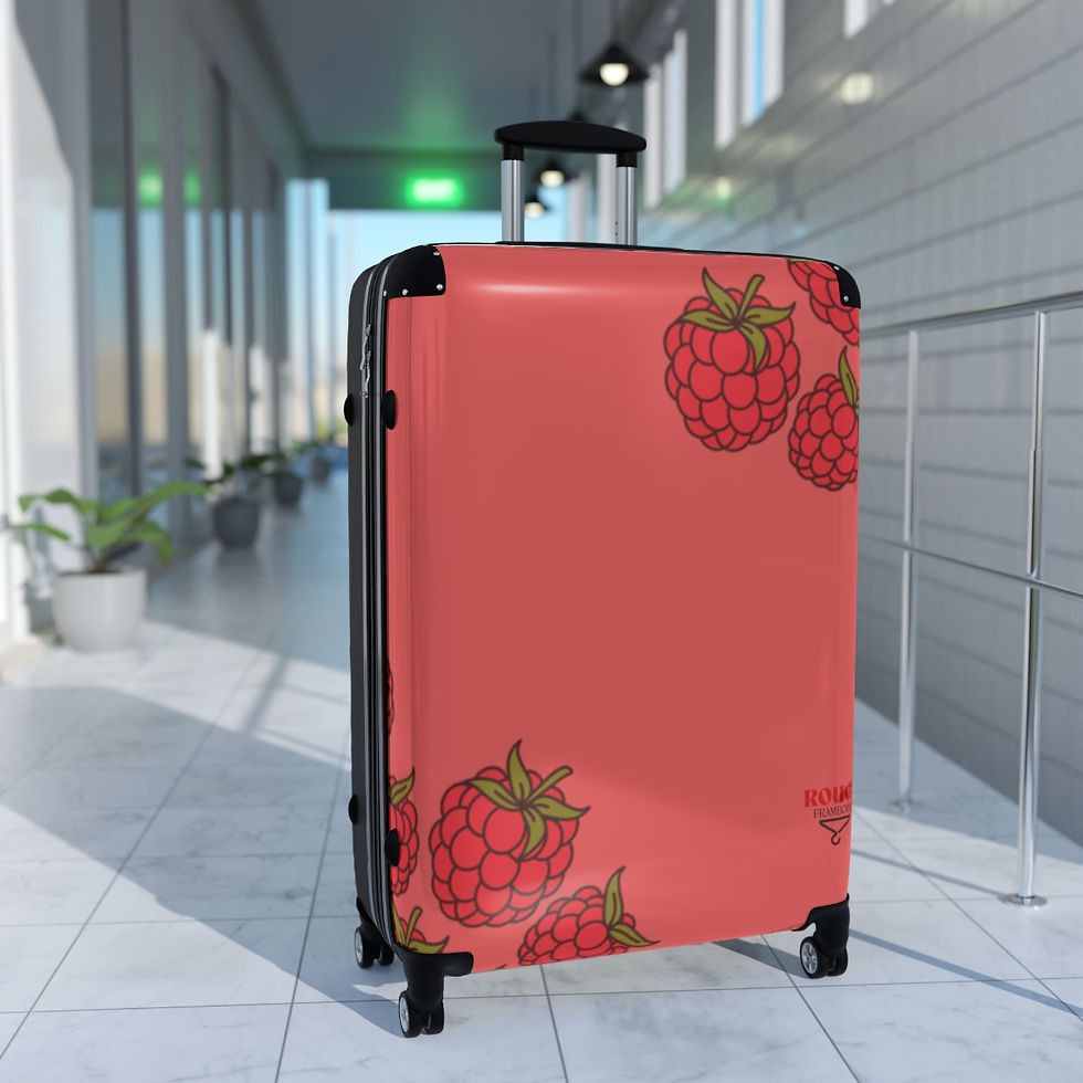 Miniature : Valise de voyage