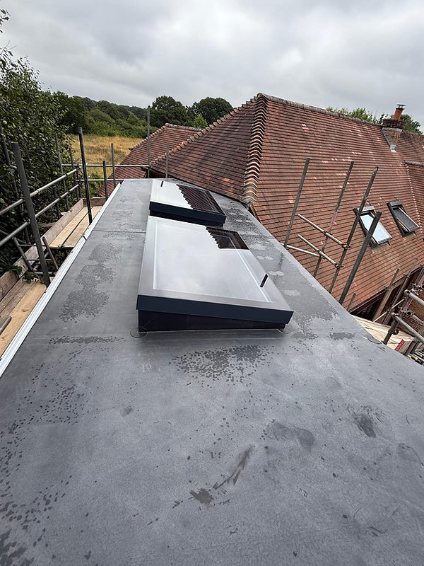 Roof Flat light Hampshire.jpg