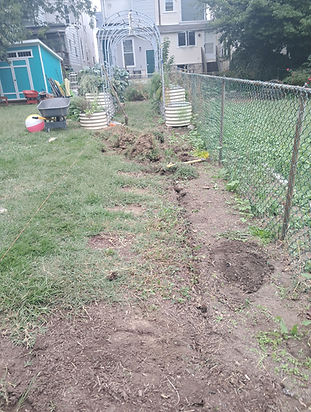 backyard1.JPG